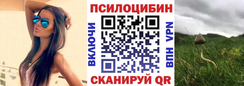 закладки Велиж Галлюциногенные грибы ЛСД